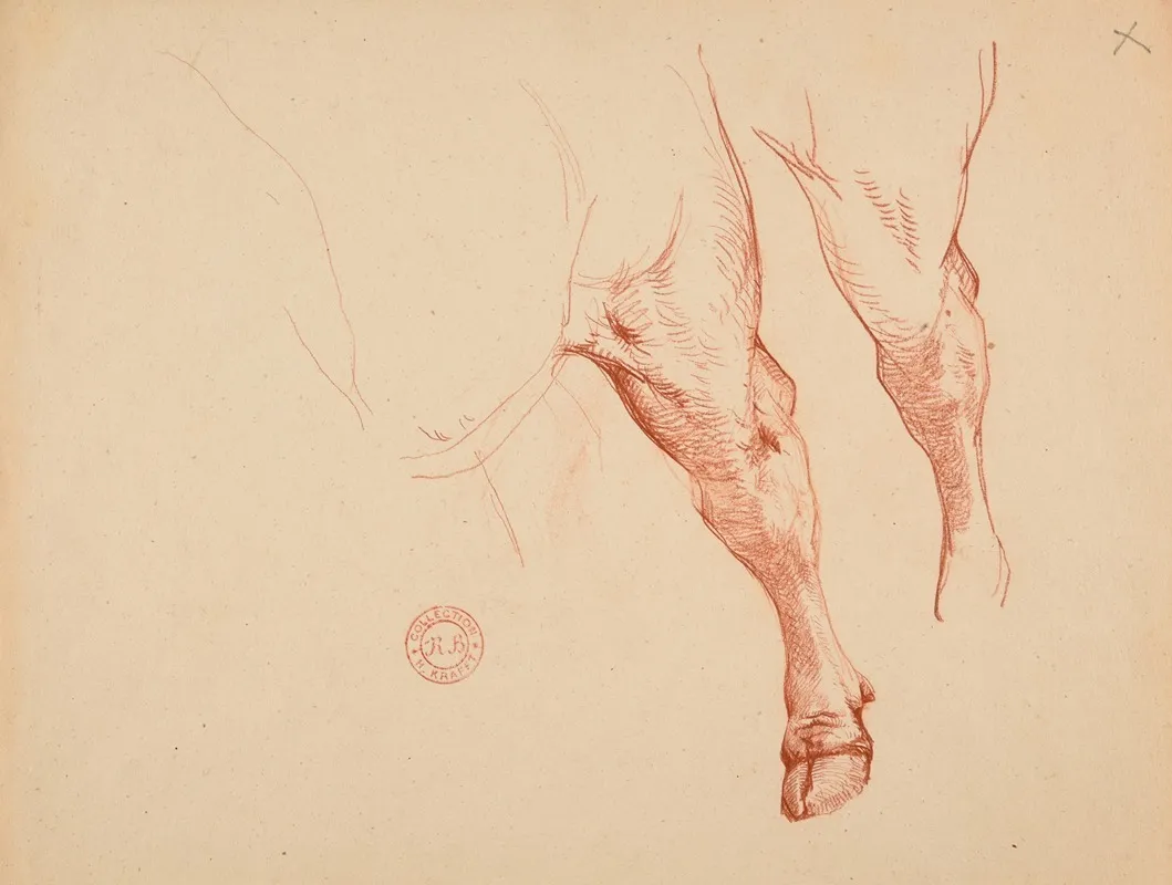 Etude De Pattes De Bovide
