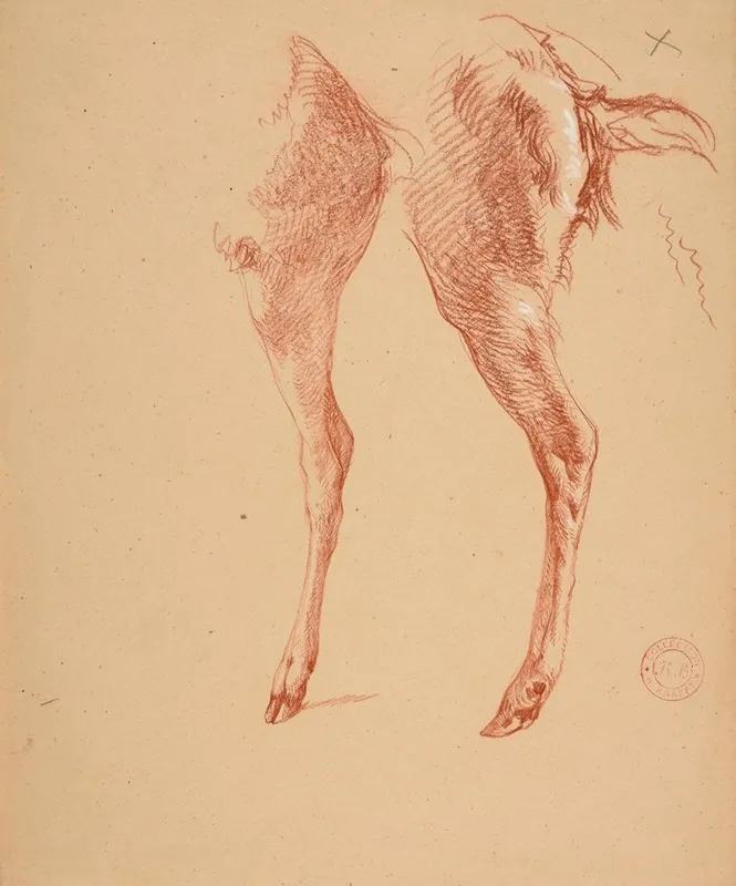 Etude De Pattes De Moutons