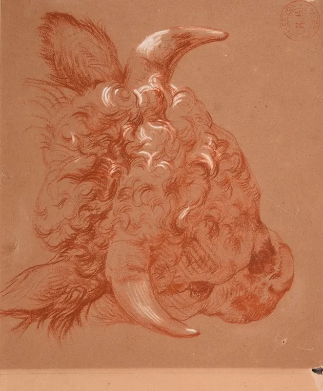 Etude De Tete De Boeuf