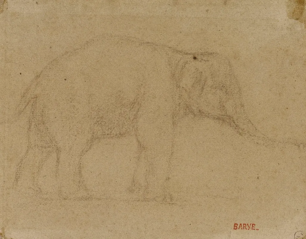 Etude Delephant Marchant