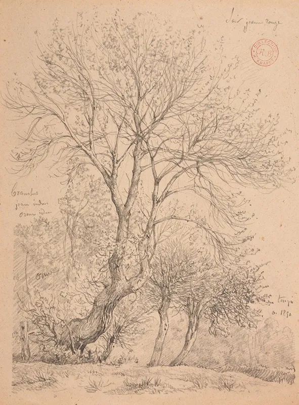 Etude Dormes