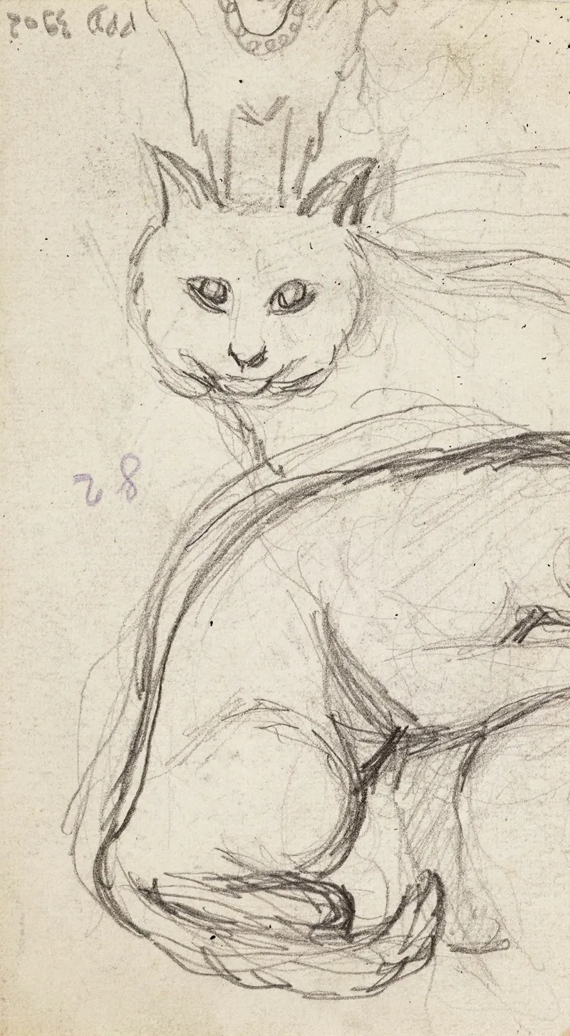 Etudes De Chats