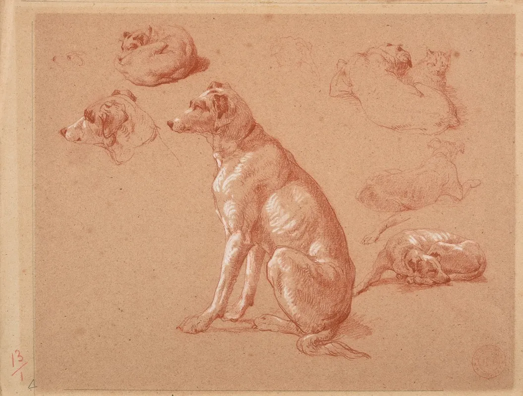 Etudes De Chiens 2