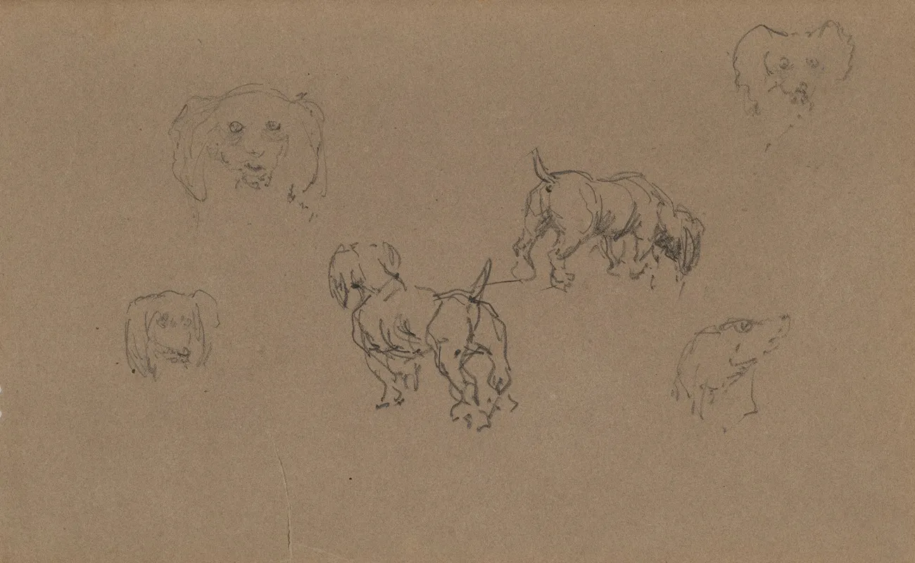 Etudes De Chiens 3
