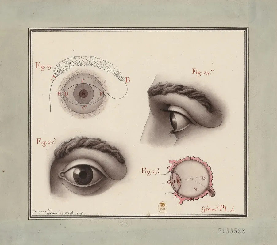 Etudes De Loeil