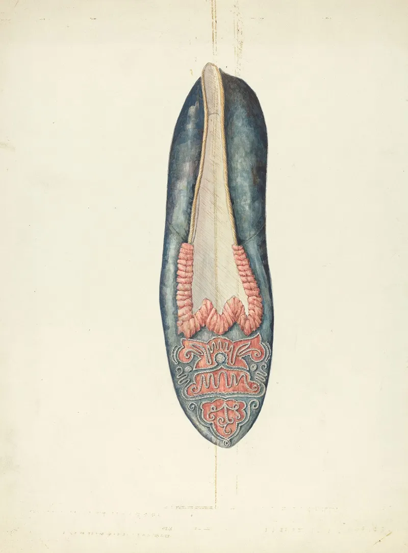 Evening Slipper