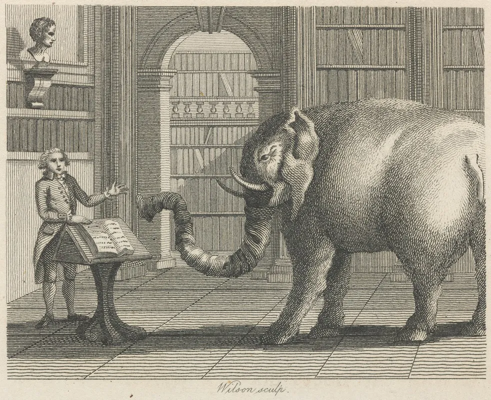 Fable X The Elephant And The Bookseller by John Wootton - Canvas Print
