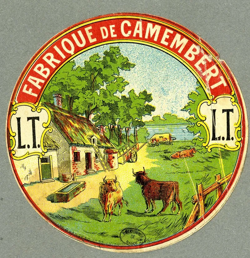 Fabrique De Camembert