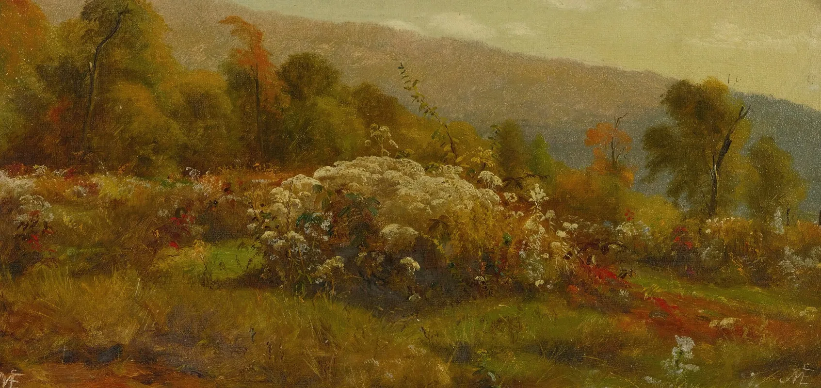 Fall Flowers On A Hillside by Jervis McEntee - Canvas Print