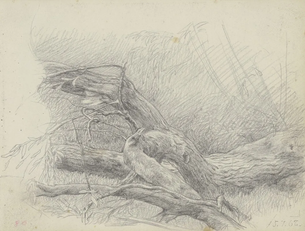 Fallen Over Tree Trunk