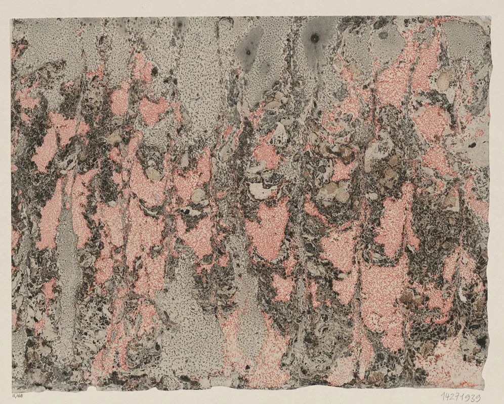 Fantasiemarmorpapier Olmarmor 2 by Laura Lange - Canvas Print