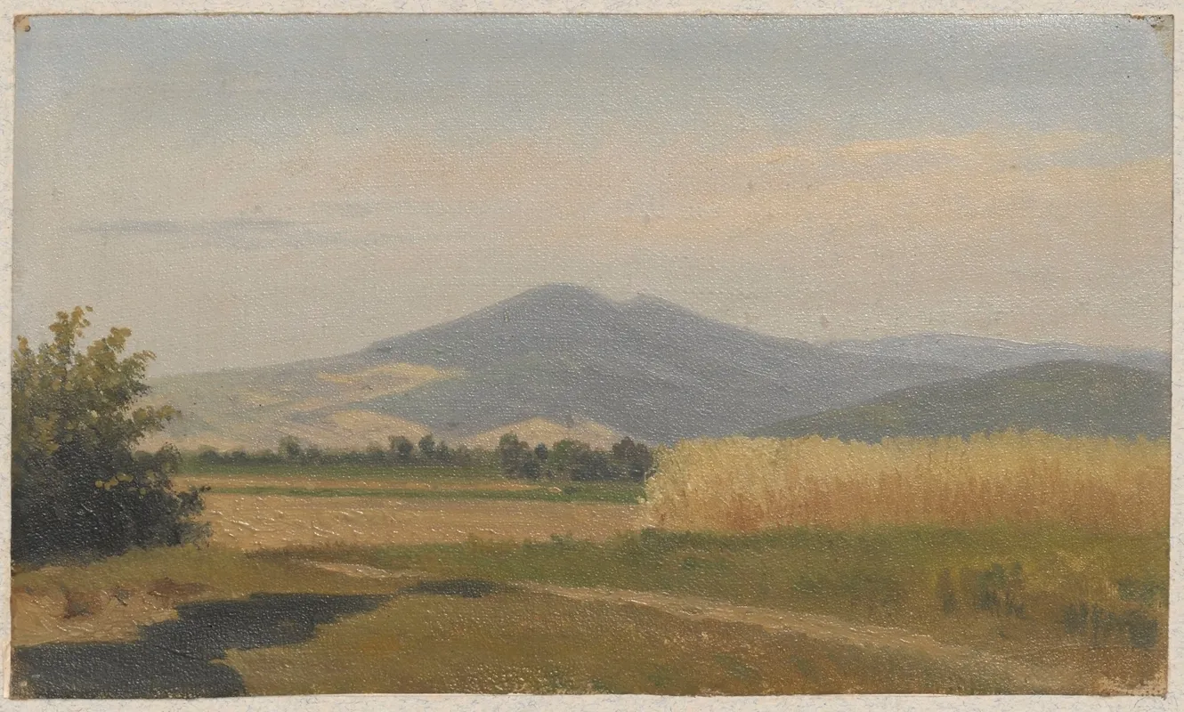 Farm Fields And Mount Sniezka In The Background