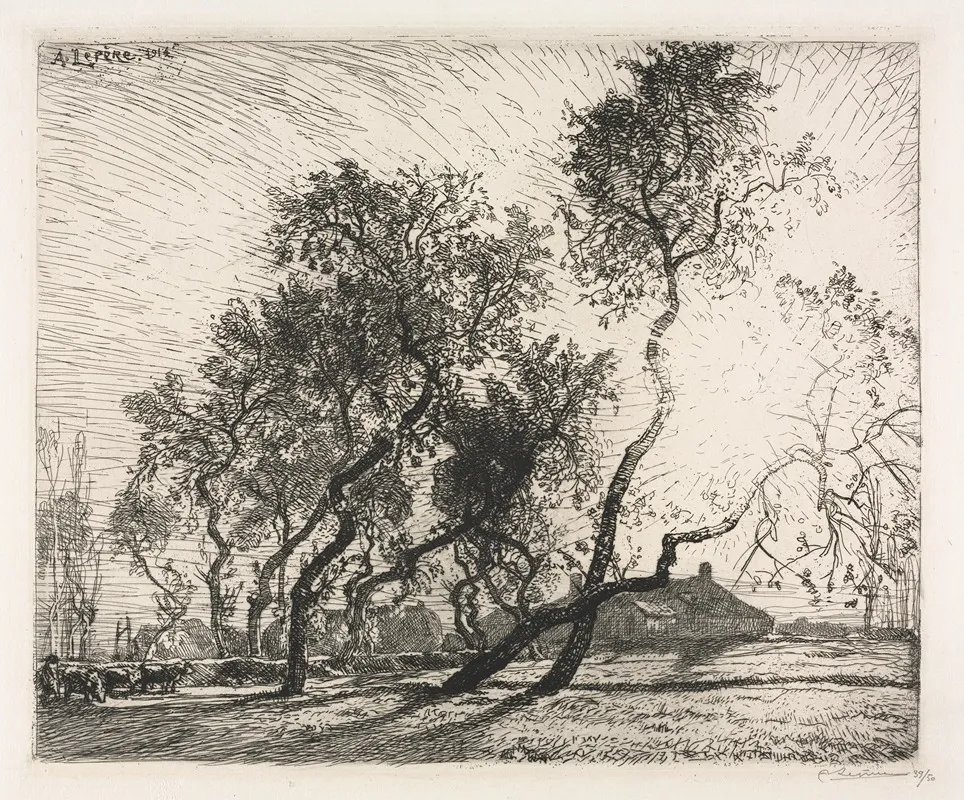 Farm With Poplar Trees Of Holland