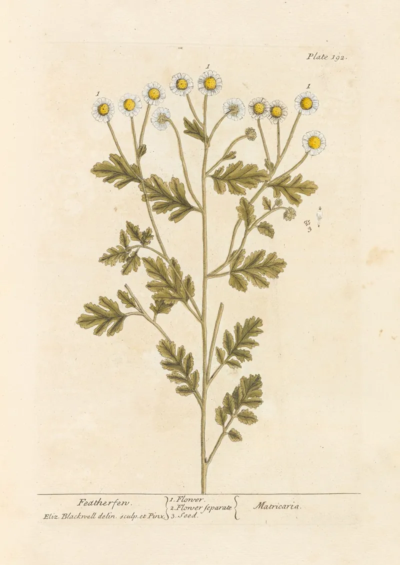 Featherfen