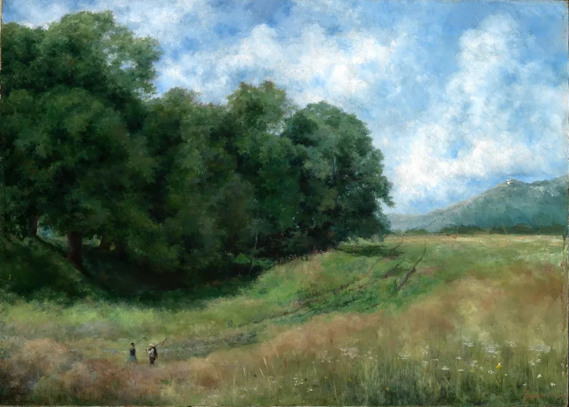 Feldweg Bei Kronberg Im Taunus