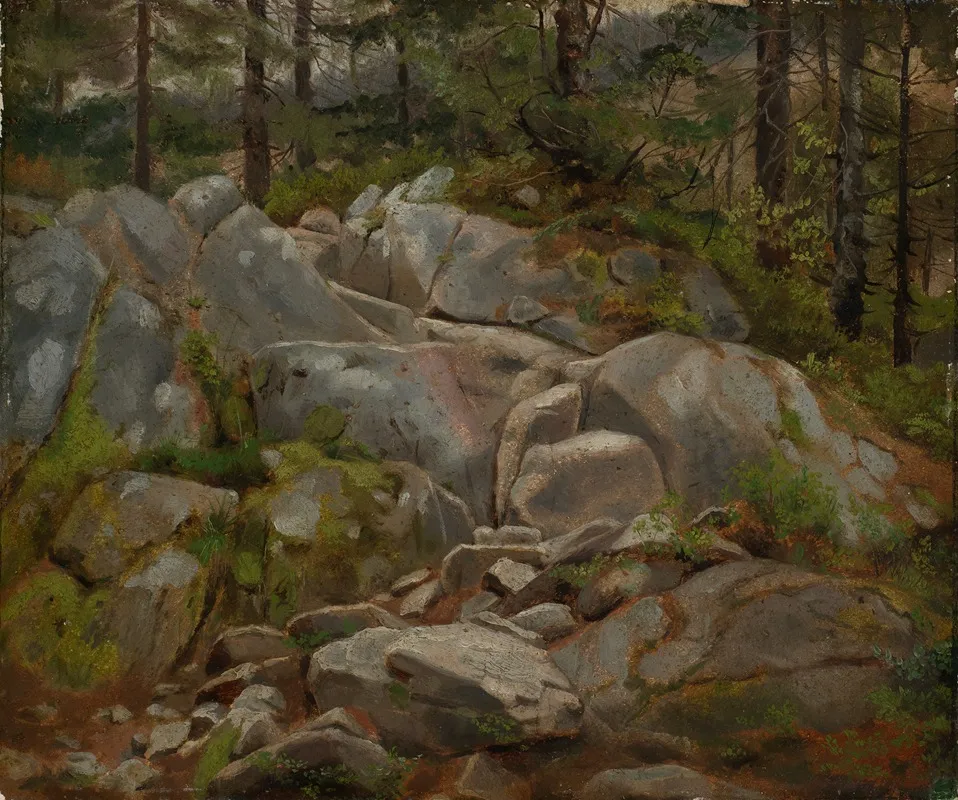 Felsblocke Mit Tannenstammen