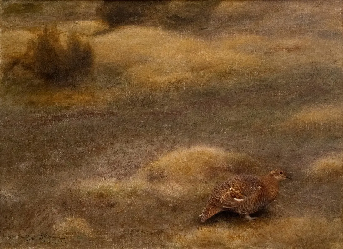 Female Black Grouse by Bruno Liljefors - Canvas Print