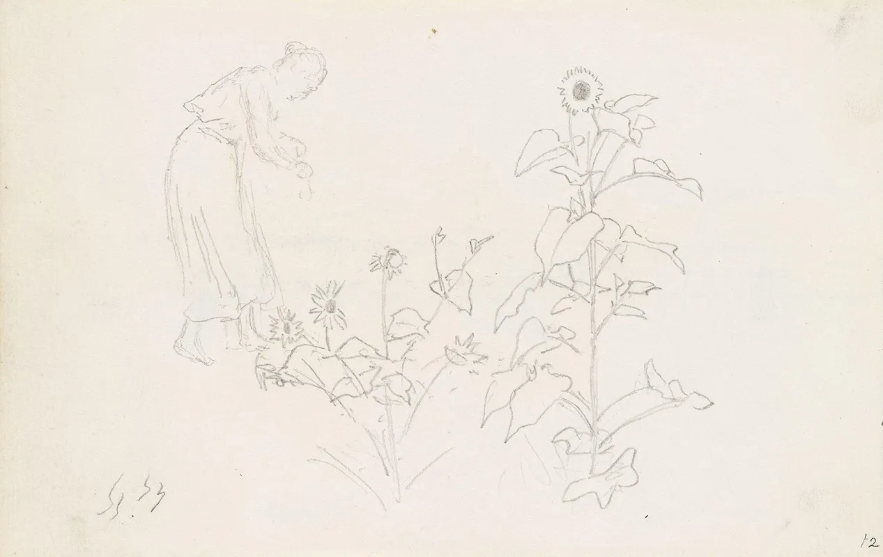 Female Figure And Plant Studies