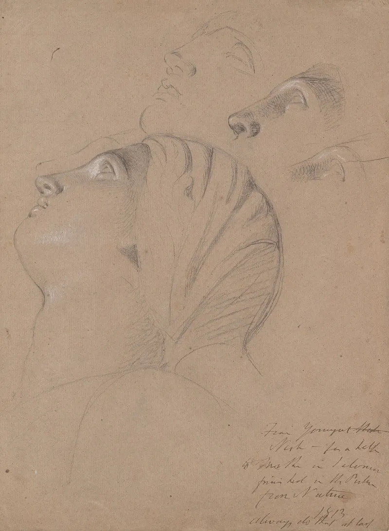Female Head Study Study For The Judgment Of Solomon