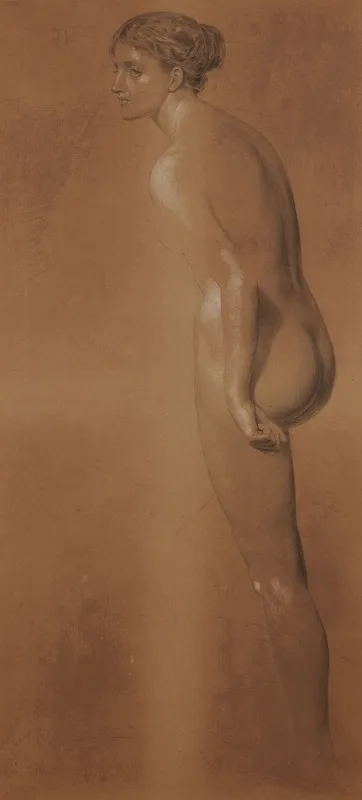 Female Nude 10