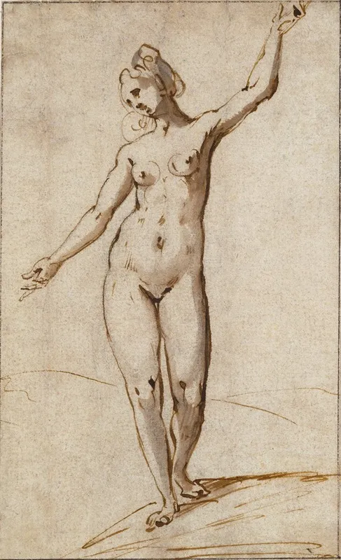 Female Nude 16 by Karel Van Mander - Canvas Print