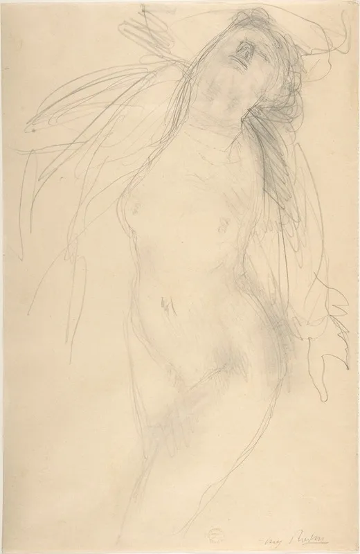 Female Nude Reclining