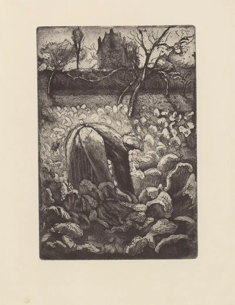 Femme Dans Un Potager