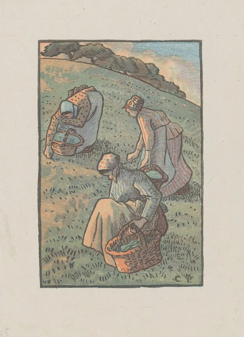 Femmes Cueillant De Lherbe