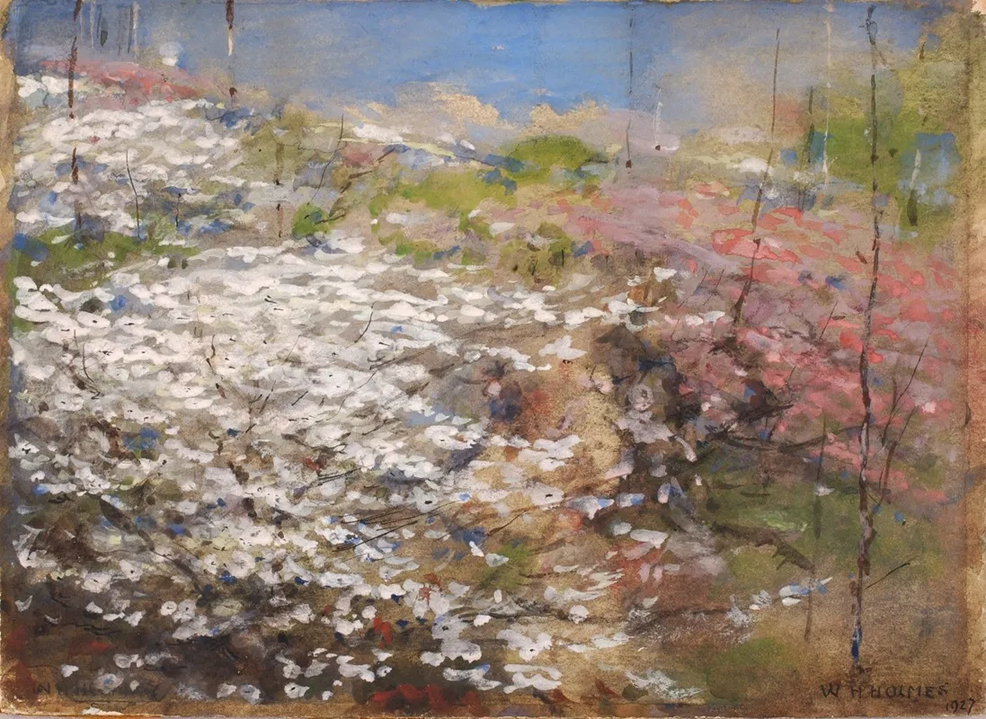 Field Of Blossoms