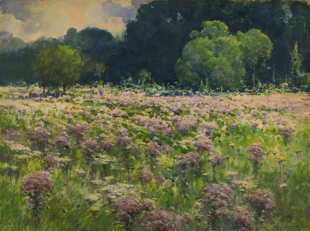 Field Of Joe Pie Weeds Pride Of The Meadow