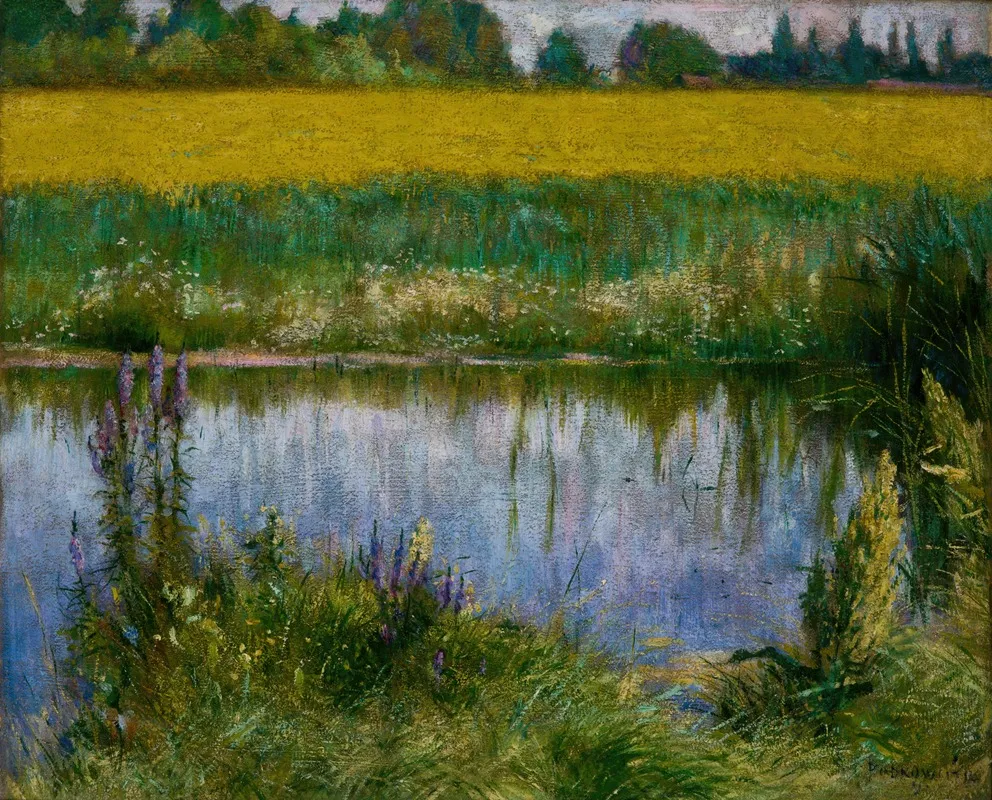 Field Of Lupine
