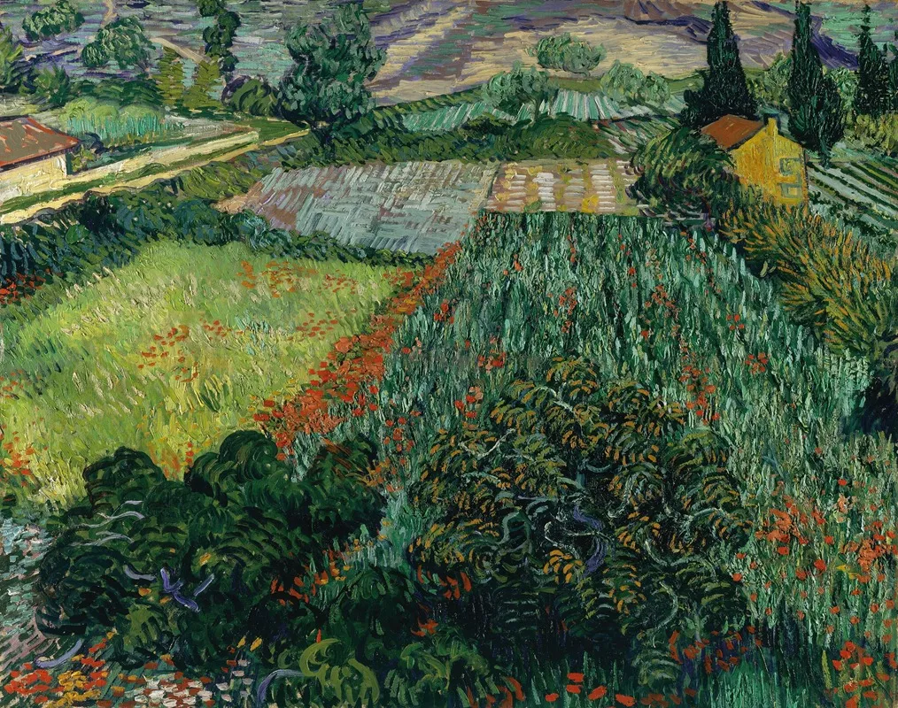 Field With Poppies