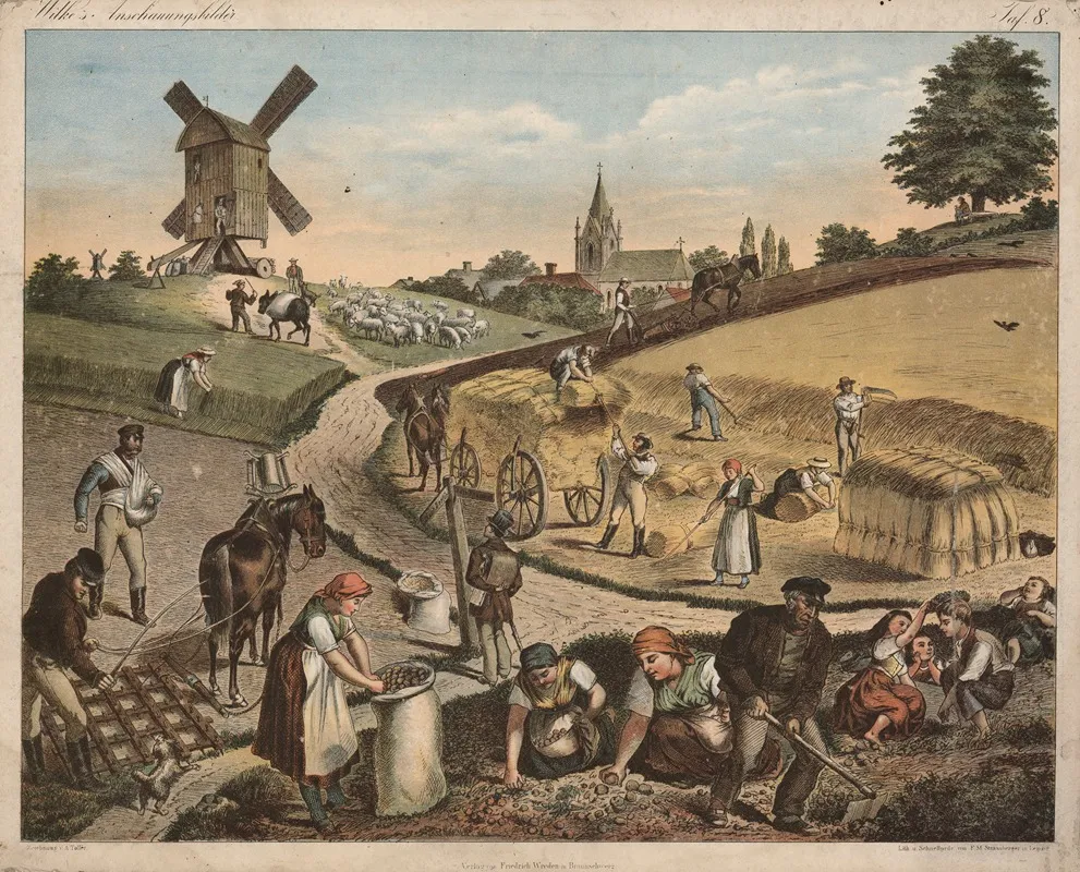 Field Work 2 by A. Toller - Canvas Print