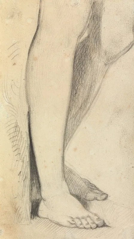 Figure Study Of Legs