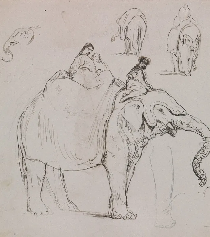 Figures On An Elephant And Other Elephant Studies by George Jones - Canvas Print