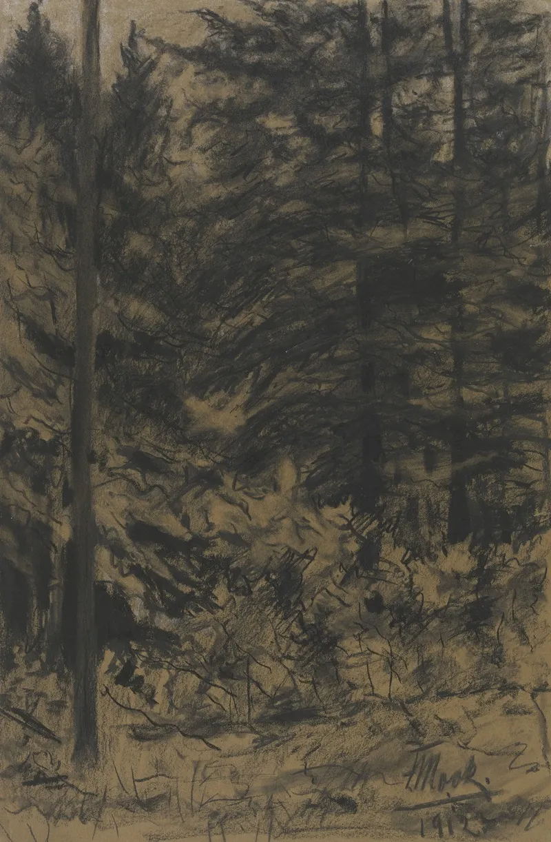 Fir Trees 3 by Friedrich Mook - Canvas Print