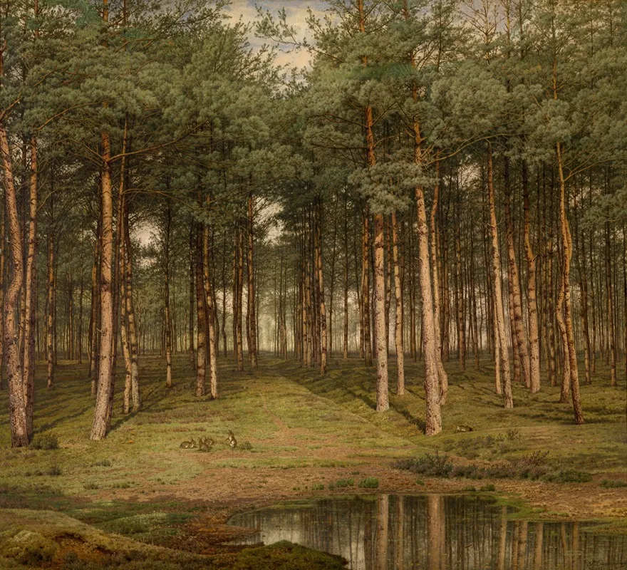 Fir Wood At Putte by Jean Pierre François Lamorinière - Canvas Print