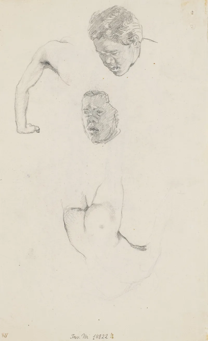 Fire Studier Efter Samme Model Som Recto