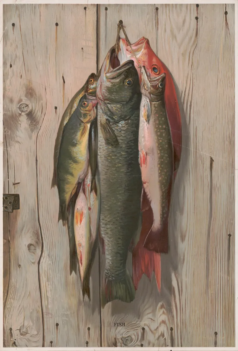Fish 12 by Knapp &amp; Co. - Canvas Print