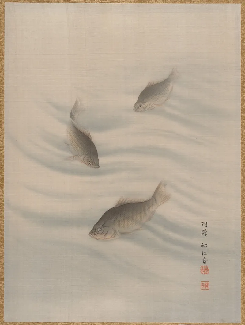 Fishes Swimming 3