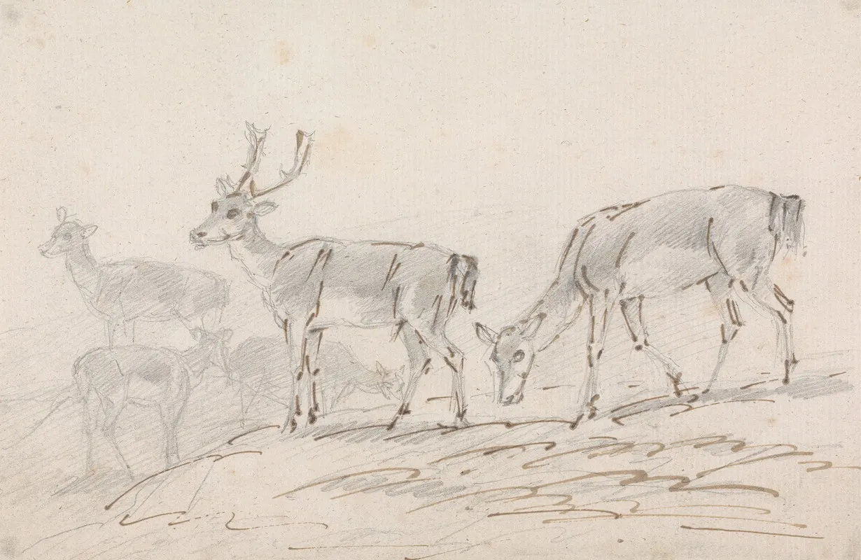 Five Deer