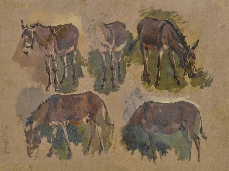 Five Mules
