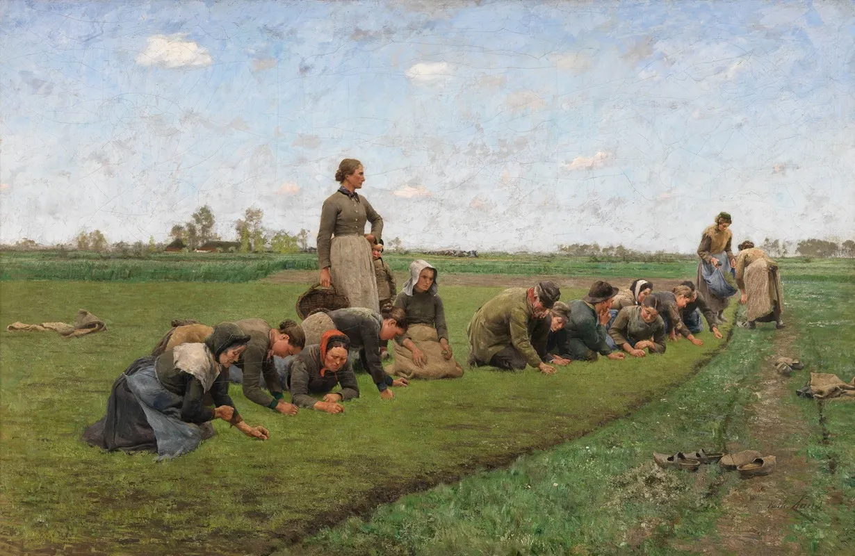 Flaxweeding In Flanders by Emile Claus - Canvas Print