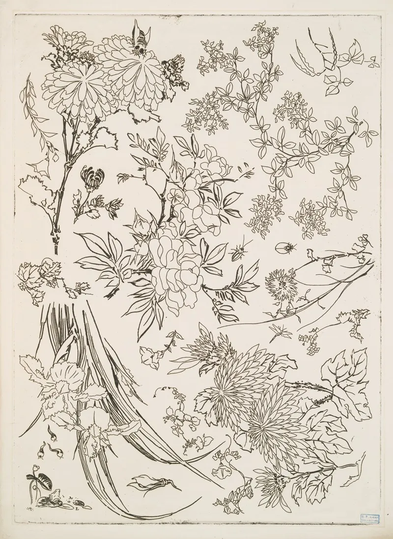 Fleurs 4
