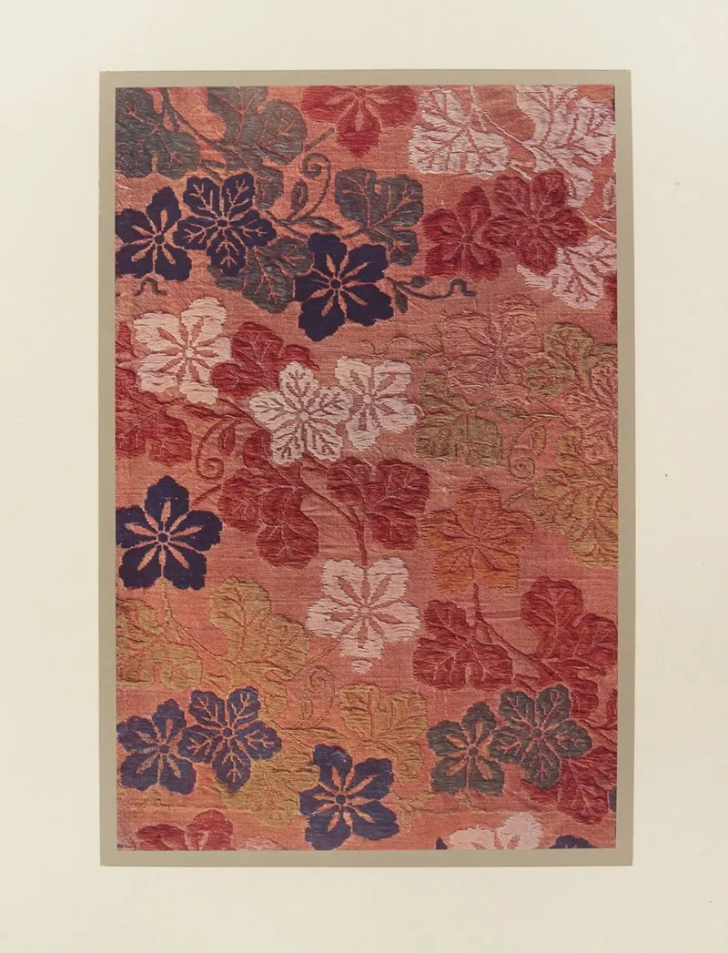 Fleurs Et Feuilles De Courge