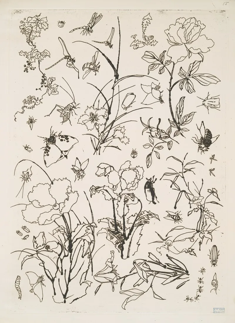 Fleurs Et Insectes