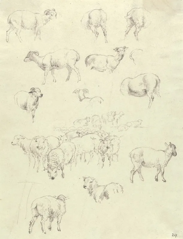Flock Of Sheep 2