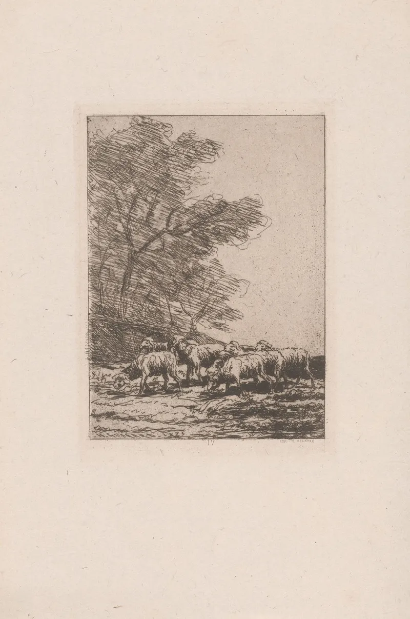 Flock Of Sheep 3 by Henri-Charles Guérard - Canvas Print