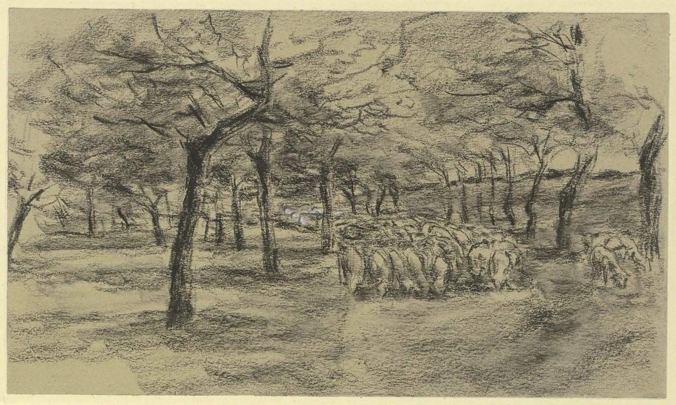 Flock Of Sheep On An Avenue