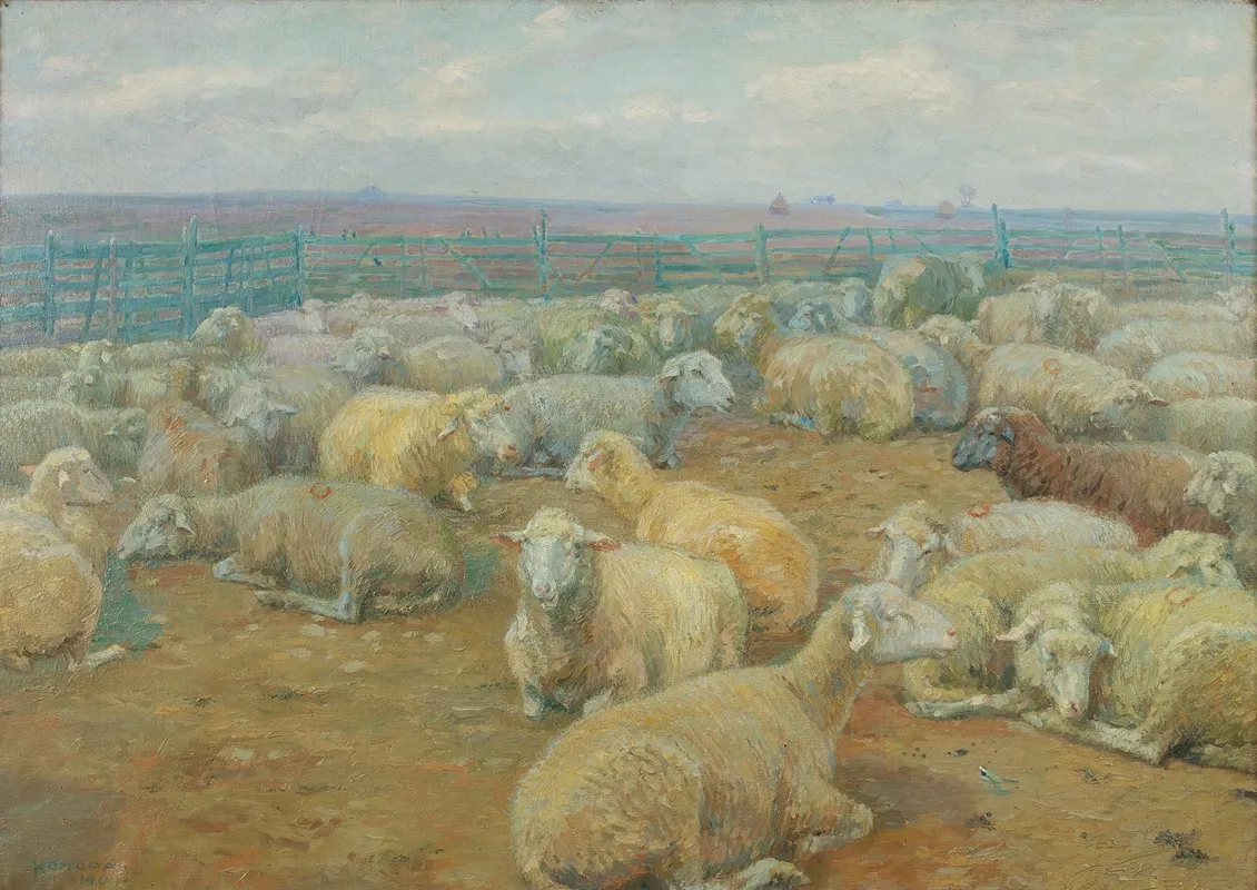 Flock Of Sheep